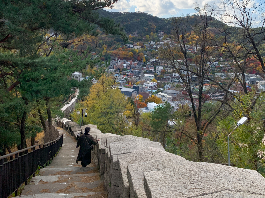 市街地を見下ろす急斜面にある階段から撮った秋の風景写真