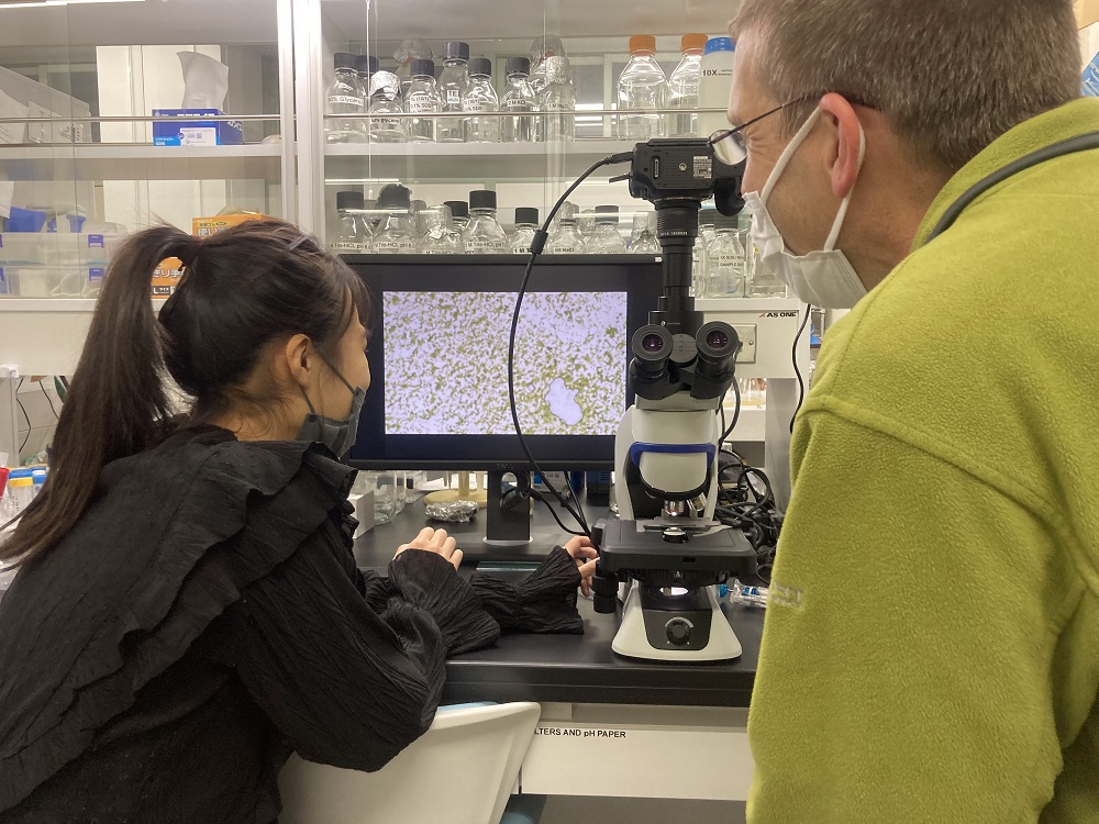 顕微鏡で観察している井口さんと教授の写真