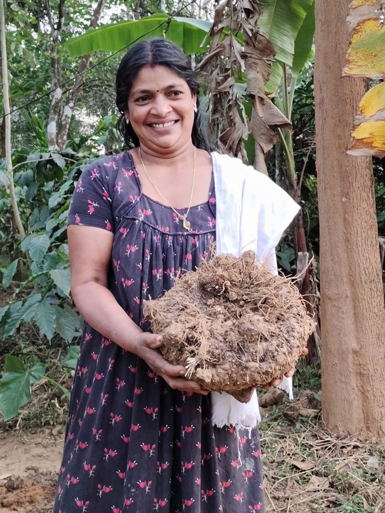 Picture of a woman holding an elephant yam