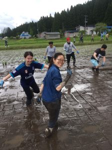 rice planting at Akita International University