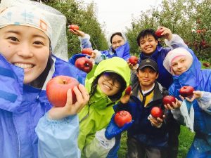 Yokote apple orchard community outreach Akita international university