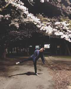 Akita International University cherry blossoms yozakura