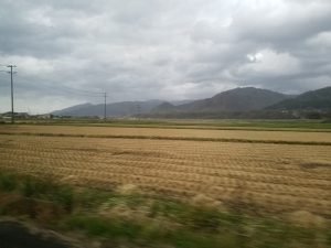 post-harvest rice fields on the way to Happo-cho
